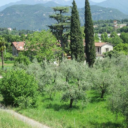 Agriturismo Bonu Gabriele Salò Zewnętrze zdjęcie